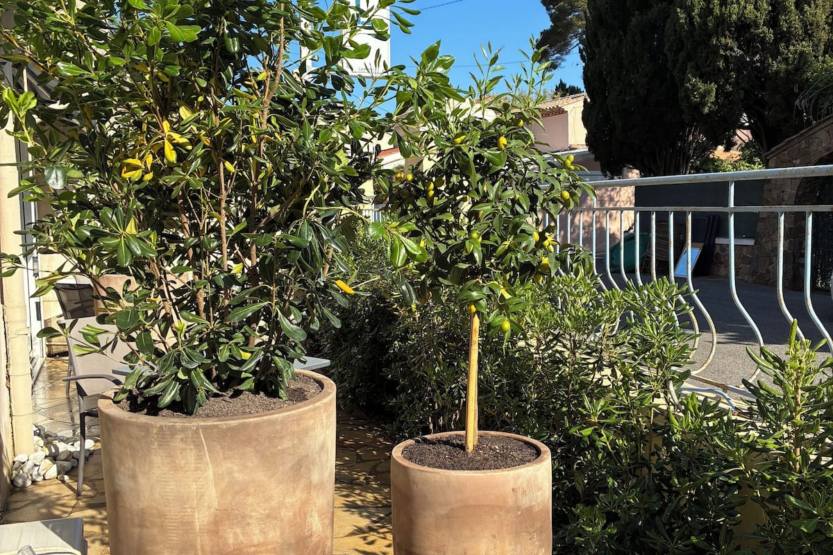 Un espace patio agrémenté de grands pots de plantes, de sièges d’extérieur et, au fond, d’une enseigne d’hôtel bien visible.