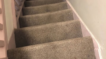 Room, 1 Bedroom | Interior