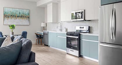 Modern & Newly Renovated 1BR Flat West Congress