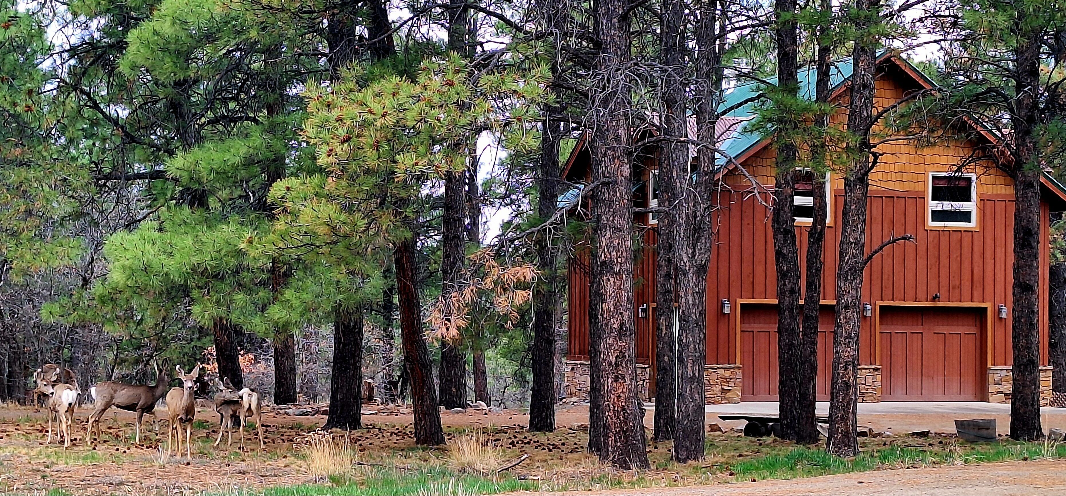 المنشأة من الخارج