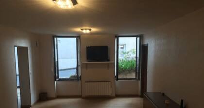 FACE A LA LOIRE (APT N°02)