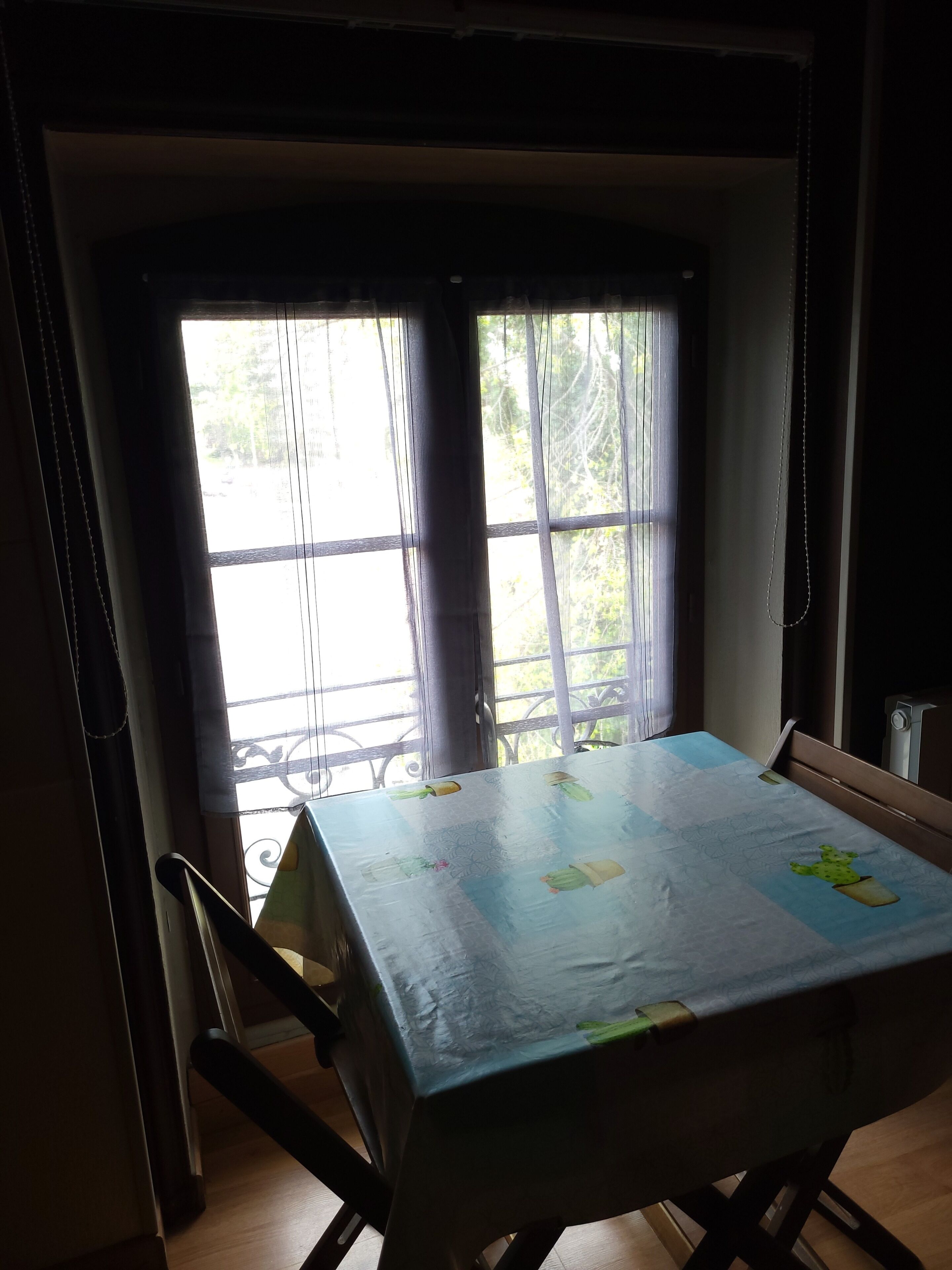 Une pièce avec une table recouverte d’une nappe à motifs de cactus, une fenêtre avec des rideaux et une chaise.