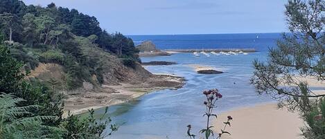 Playa