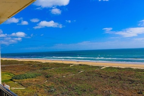 Una playa con vista despejada del océano y una zona cubierta de hierba en primer plano.
