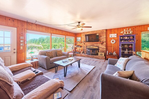 Smart TV, fireplace, books