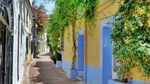 Una calle estrecha bordeada de edificios pintados de azul y amarillo, con algo de vegetación trepando por las paredes.