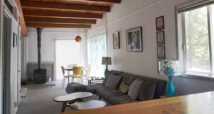 Groovy Chalet: Cool Mid-Century Catskill Mountain Digs!