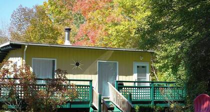 Groovy Chalet: Cool Mid-Century Catskill Mountain Digs!