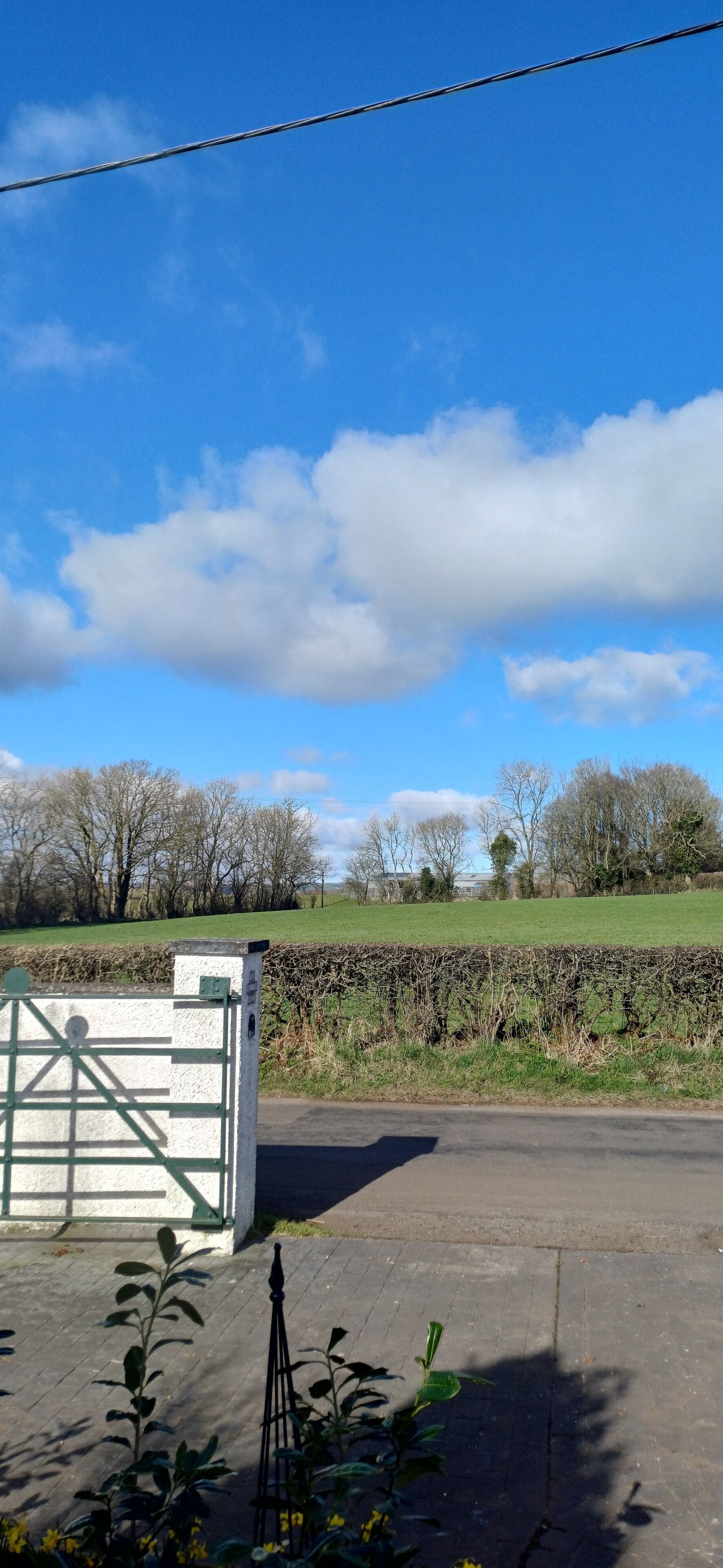Ländliche Landschaft mit einem Tor, einer Hecke und blauem Himmel.