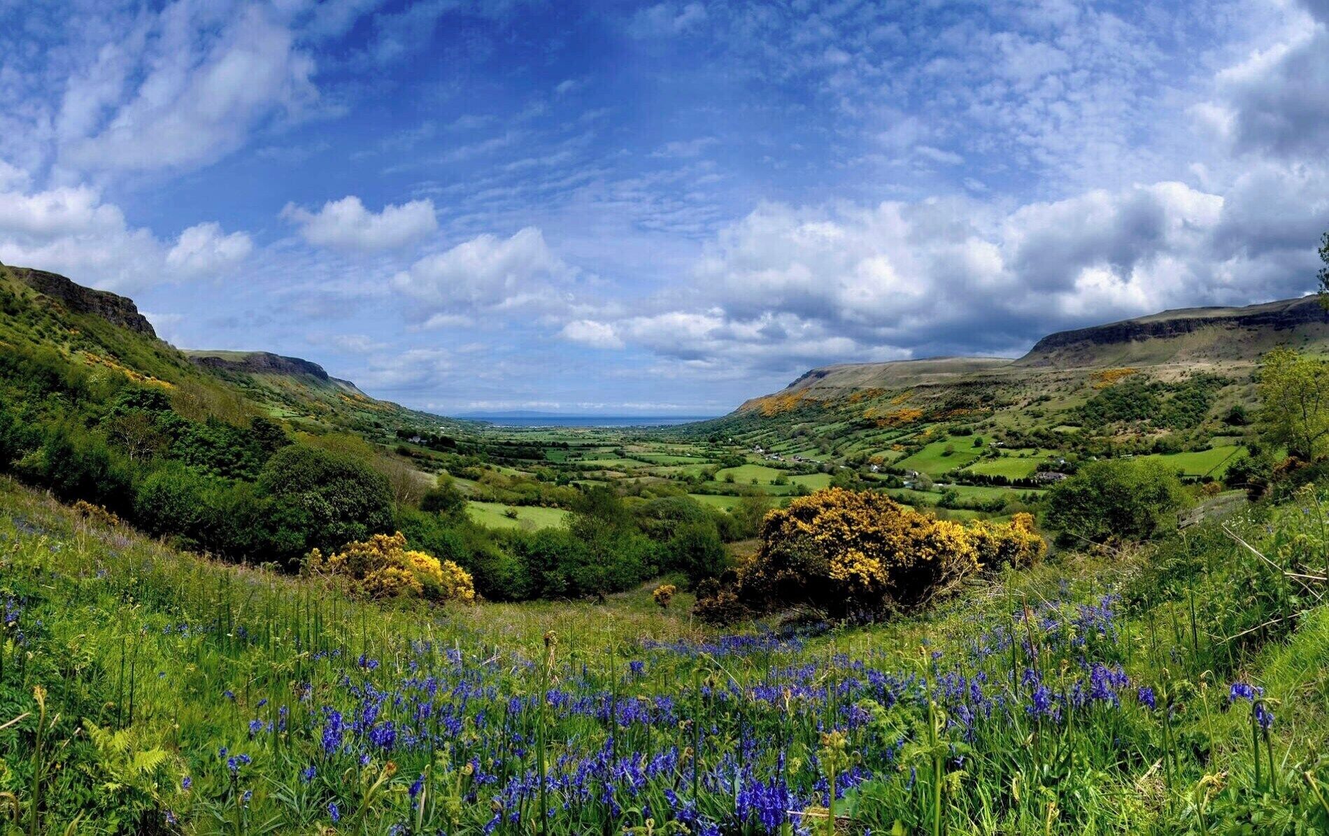 A valley with rolling hills, a clear sky, and wildflowers.
