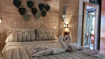 Habitación básica doble, vistas a la piscina | Wifi gratis