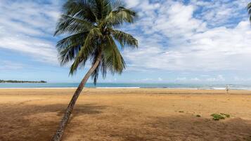 Una playa con una palmera y una persona caminando a lo lejos.
