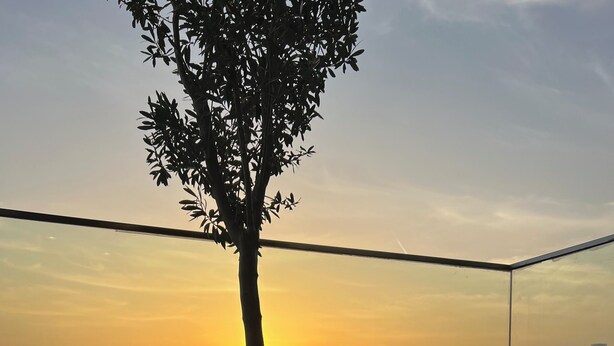 A balcony with a large potted plant, a table with glasses and a pitcher, and a view of the sunset over a cityscape. - Luxury 1BDwith Stunning Burj Khalifa View- Self Check-in (Dubai)