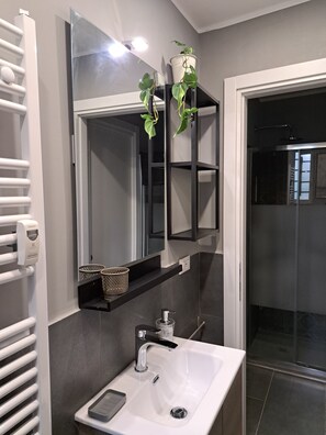 Shower, hair dryer, bidet, towels