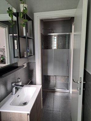 Shower, hair dryer, bidet, towels