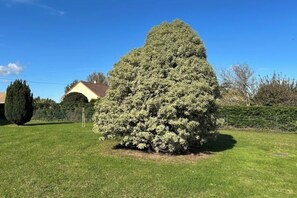 Property grounds - Clé des champs (Tour-en-Bessin)