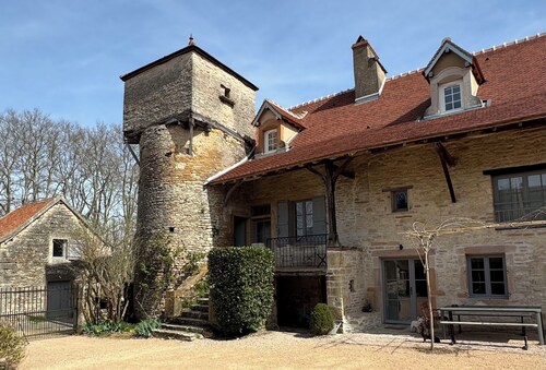 La Tour Chapaize - Maison de charme de 300m2 avec piscine.