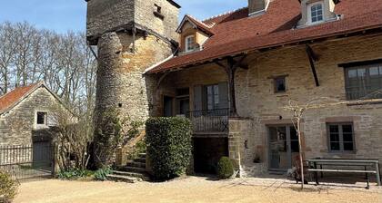 La Tour Chapaize - Maison de charme de 300m2 avec piscine.