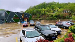 Un parcheggio con diverse auto, un edificio con facciata verde e nera, e alberi sullo sfondo.