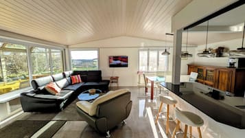 Smart-TV, Kamin