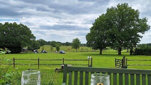 Two glasses of beer on a wooden table with a view of a grassy field and trees in the background.