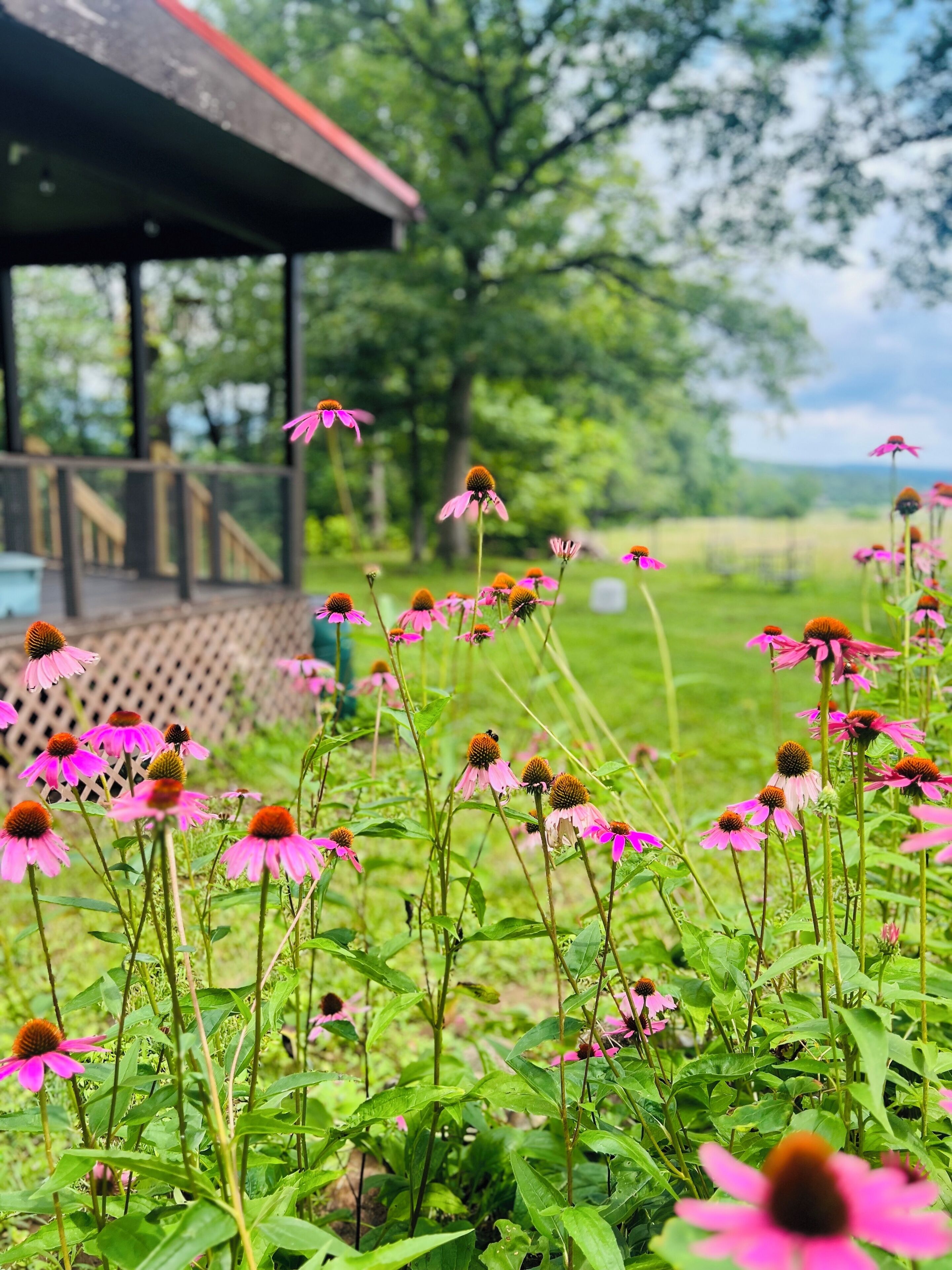 Áreas de la propiedad