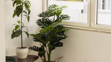 Apartment | 4 bedrooms