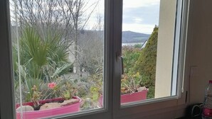Ein Fenster mit Blick auf einen Garten, der verschiedene Pflanzen und eine entfernte Landschaft zeigt.
