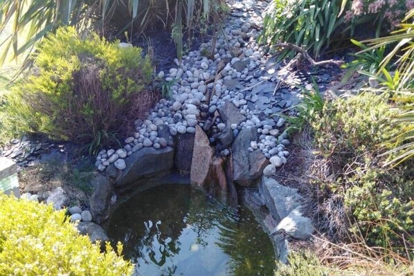 Escape to a serene garden oasis with a tranquil pond and lush greenery.