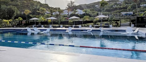 A swimming pool with lounge chairs and umbrellas, surrounded by greenery and houses.