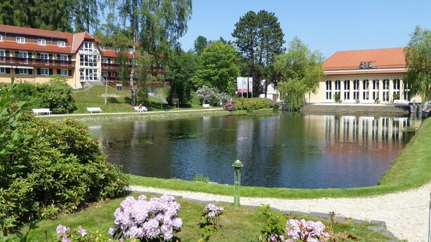 Un hôtel doté d’un étang, entouré de verdure et d’arbres.