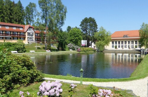 Parkhotel Bad Brambach