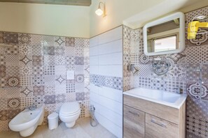 Shower, hair dryer, bidet, towels