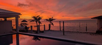 Majestic Caribbean Oasis at South Beach Property Condos