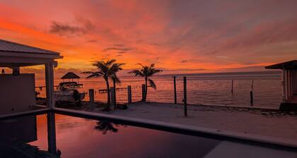 Majestic Caribbean Oasis at South Beach Property Condos