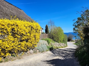 Un chemin de gravier mène à une maison au toit de chaume, entourée d’arbustes aux fleurs jaunes et offrant une vue sur la mer.