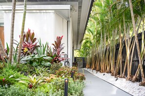 Escape to a serene oasis surrounded by lush tropical plants and a tranquil pathway.
