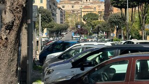 A street lined with parked cars and trees, leading to a large domed building. - Saint Peter Loft (Rome)