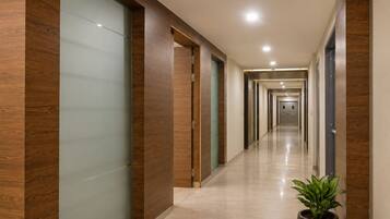 A modern hallway with wooden paneling, glass doors, and a potted plant.