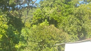 Family Chalet, Lanai, Garden View - Sonhos de Penha - Chalés e Aptos (Penha)