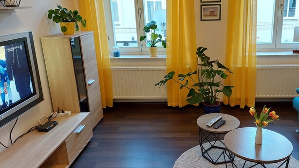 A living room with a TV, a blue sofa, a coffee table, and a potted plant. - Vacation apartment "Mittags-Ruh" in the center of Reichenbach/Vogtland. (Reichenbach im Vogtland)