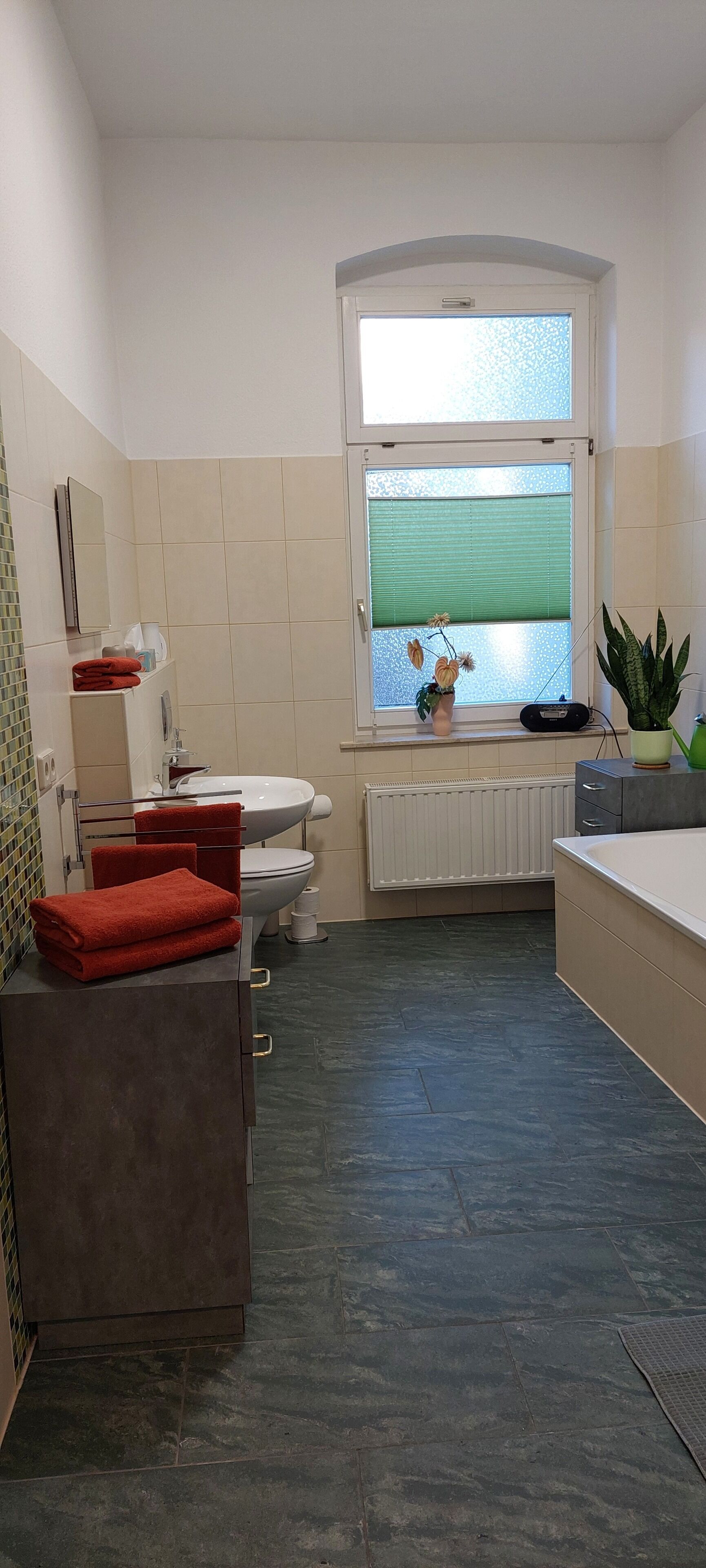 吹风机、毛巾、肥皂、卫生纸