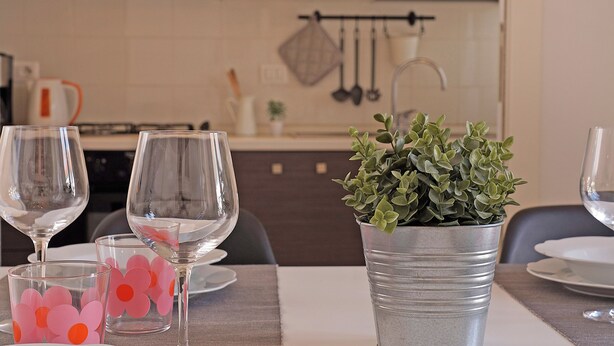 A dining table with wine glasses and a potted plant.