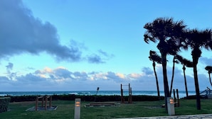 A park with a view of the ocean, palm trees, and exercise equipment.