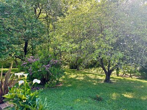 Ulkoalueet