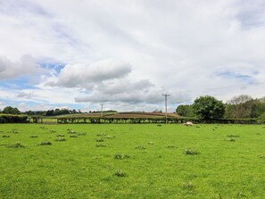 Miscellaneous - Moel Famau (Denbigh)