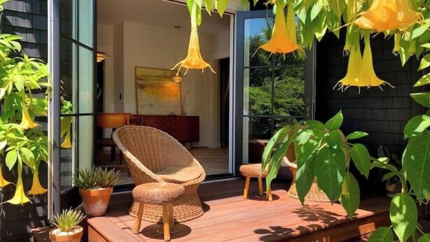 A wooden deck with wicker chairs, potted plants, and hanging yellow lights. - Classic Bright Modern Spacious 1bd/1ba Apartment (Berkeley)