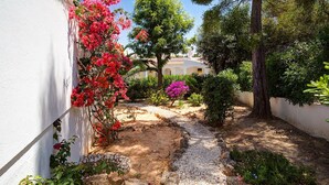 Un jardín con un camino de piedra, un muro blanco y diversas plantas y árboles.