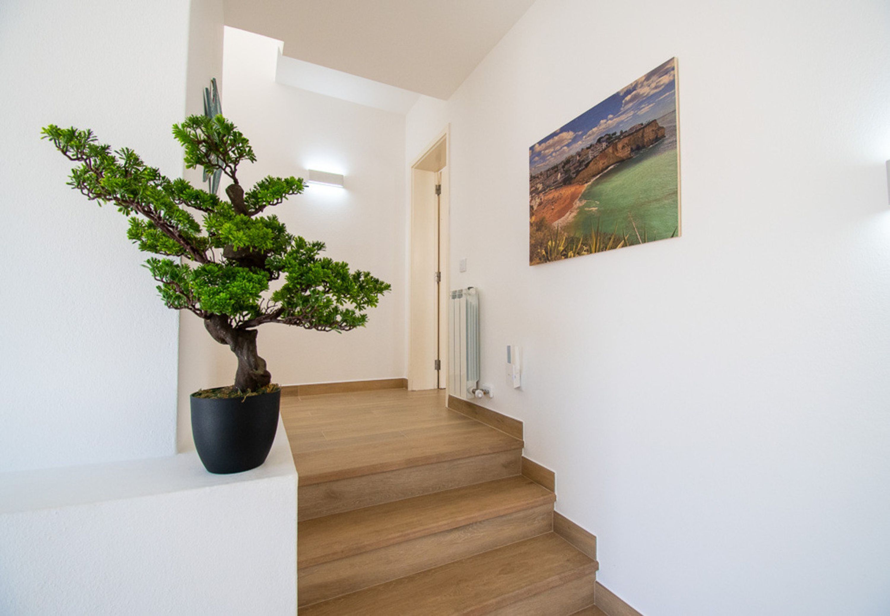 Una scala con un bonsai in vaso a sinistra, un quadro sulla parete destra e un termosifone sullo sfondo.