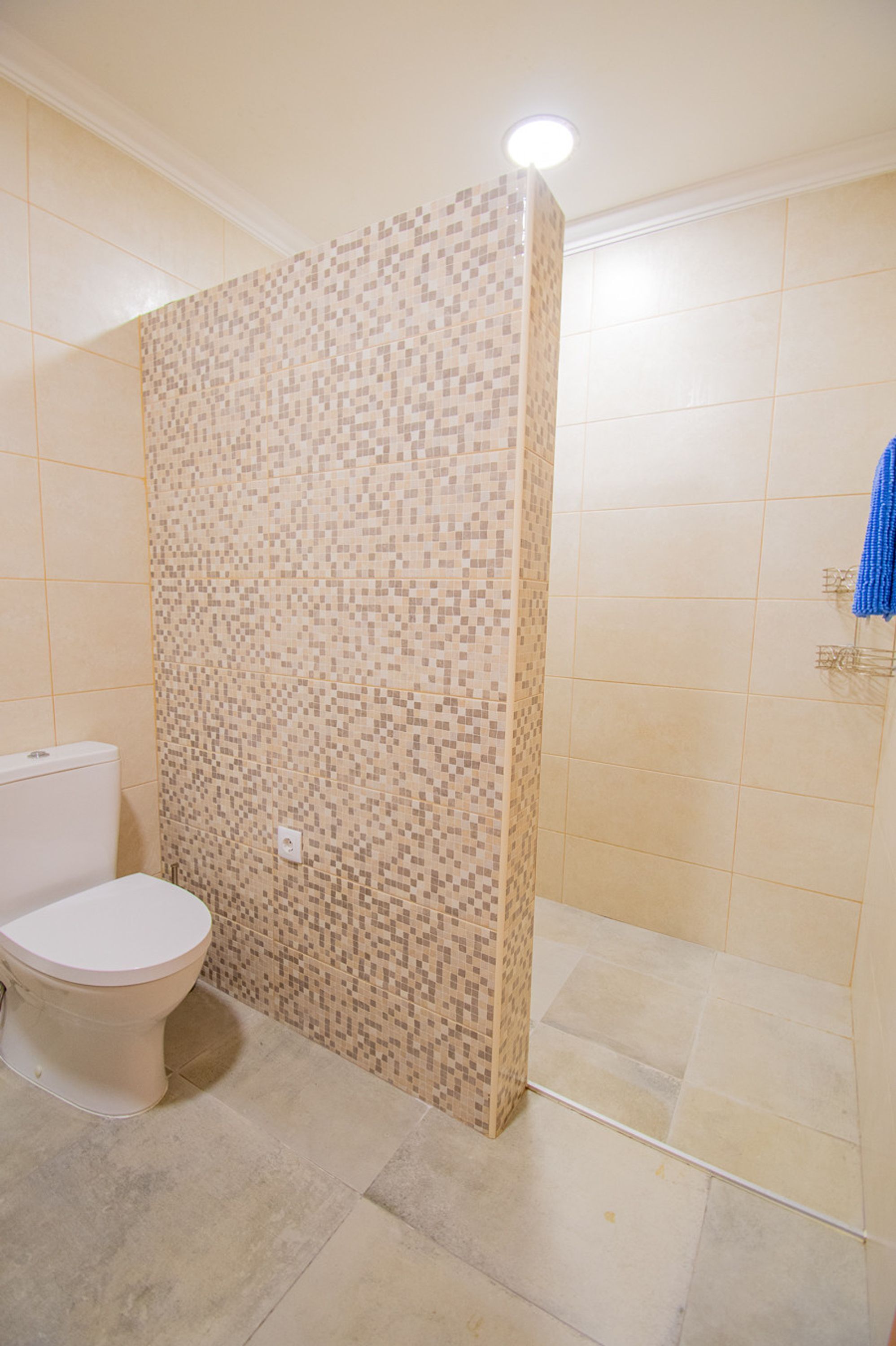 A bathroom with a toilet, a shower with mosaic tiles, and a blue towel hanging on the wall.